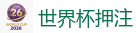 FIFA世界杯 (FIFA World Cup)官方竞猜指定平台